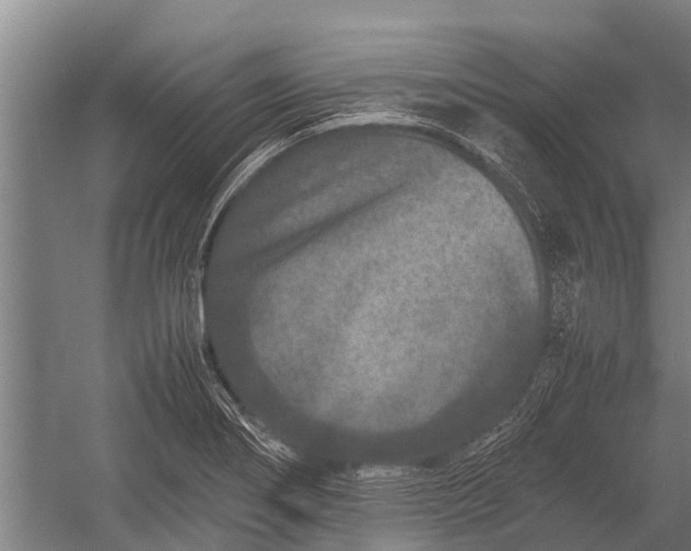 X0000053011274200507221304