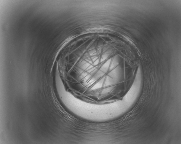 X0000053011275200507221304