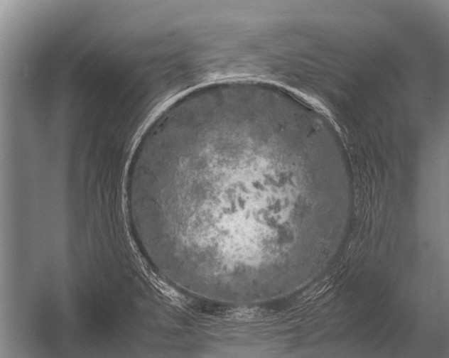 X0000053011279200507221303