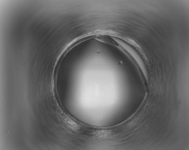 X0000053011280200507221303