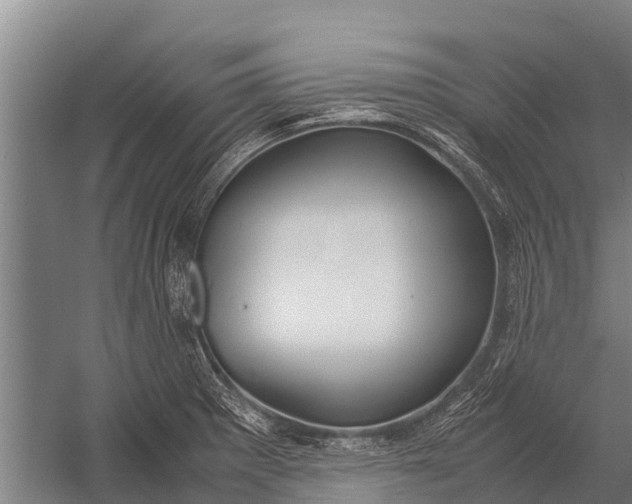 X0000053011281200507221303