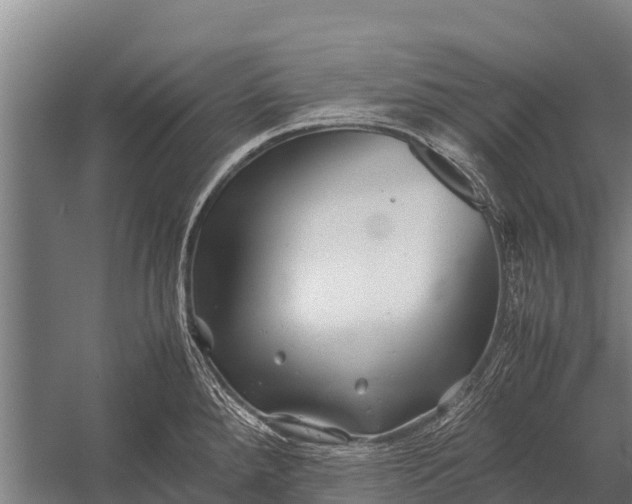 X0000053011288200507221303