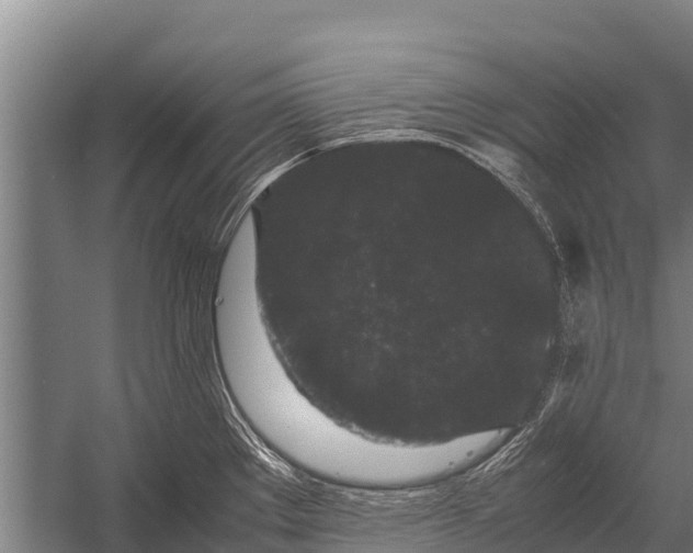 X0000053011289200507221303