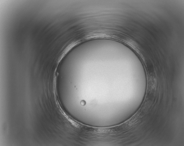 X0000053011290200507221303