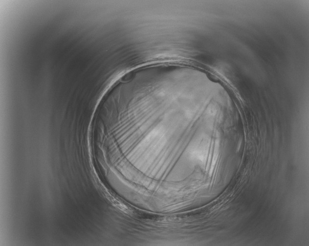 X0000053011291200507221303