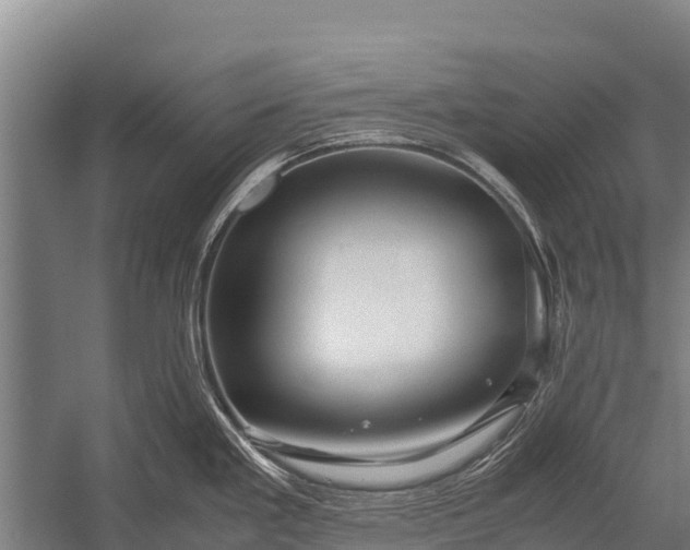 X0000053011293200507221303