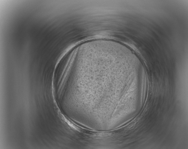 X0000053011294200507221303