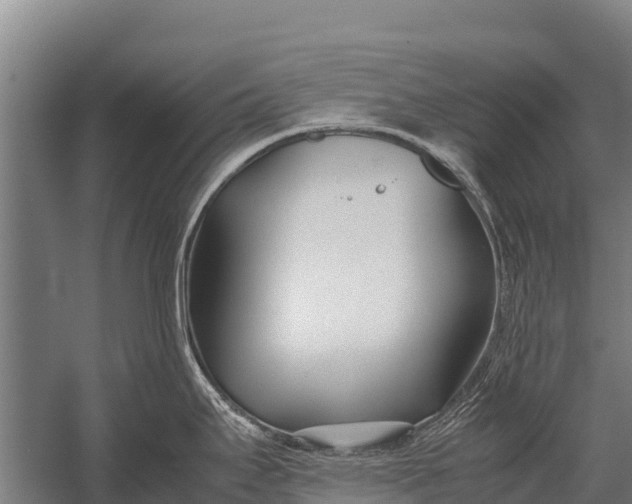 X0000053011295200507221303