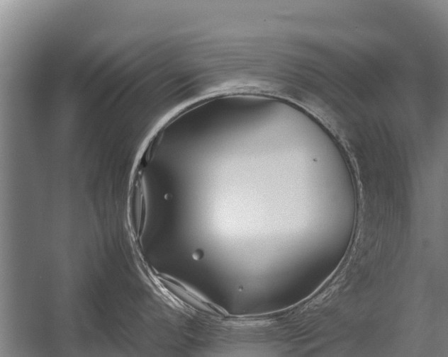 X0000053011296200507221303