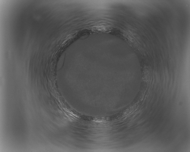 X0000053011297200507221302