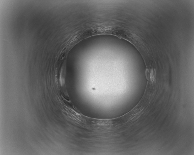 X0000053011299200507221302