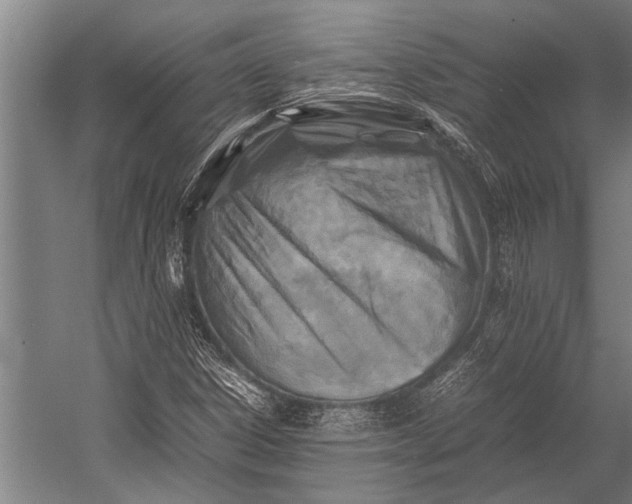 X0000053011306200507221303