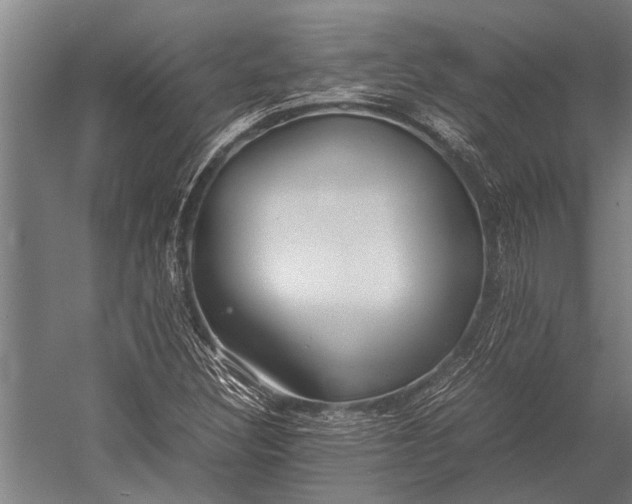 X0000053011308200507221303