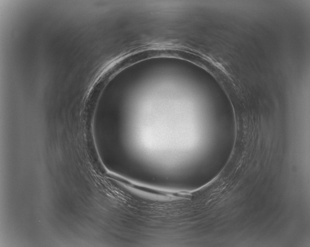 X0000053011311200507221303