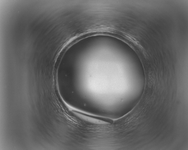 X0000053011316200507221303