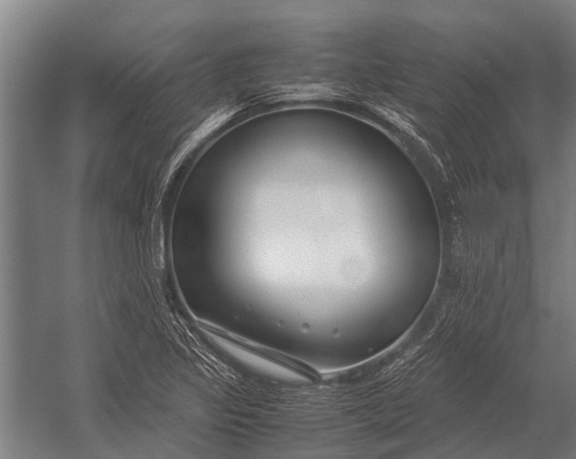 X0000053011317200507221303