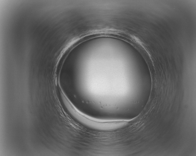 X0000053011320200507221303