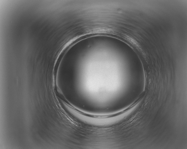 X0000053011324200507221303