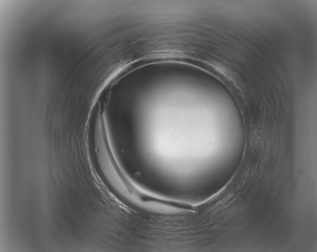 X0000053011325200507221303