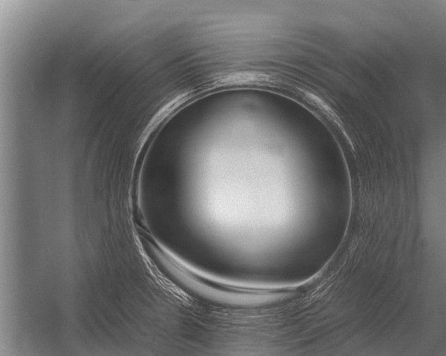 X0000053011330200507221303