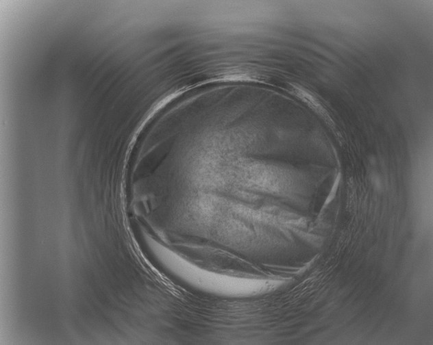 X0000053011331200507221303