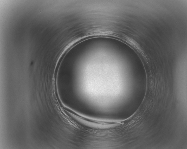 X0000053011332200507221303