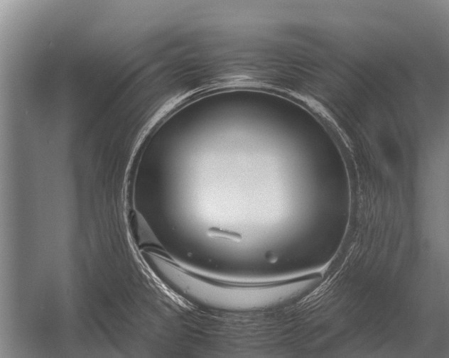 X0000053011333200507221303