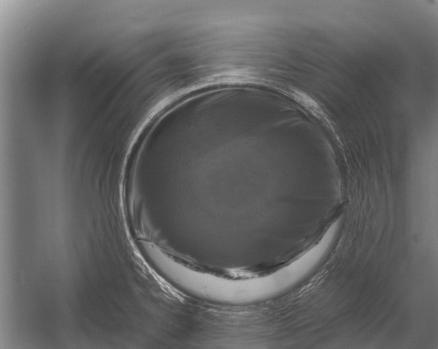 X0000053011334200507221303