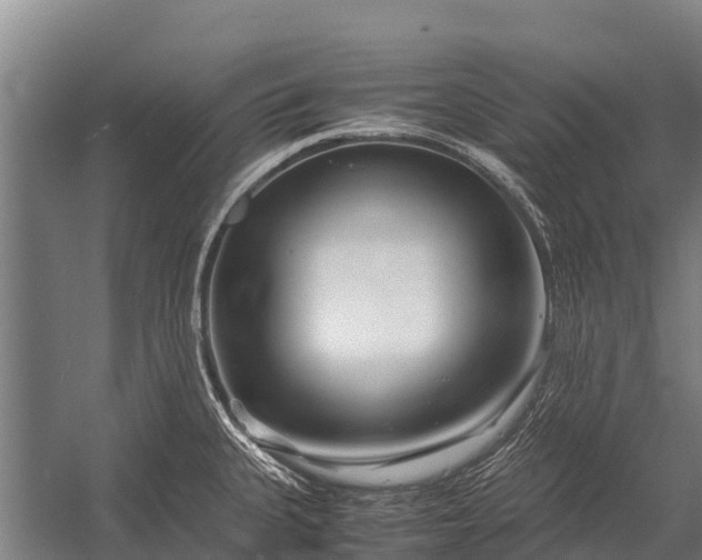 X0000053011335200507221303