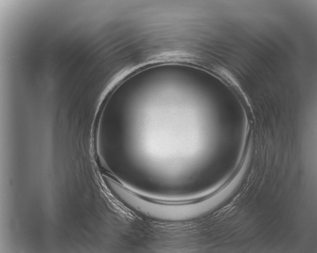 X0000053011336200507221303