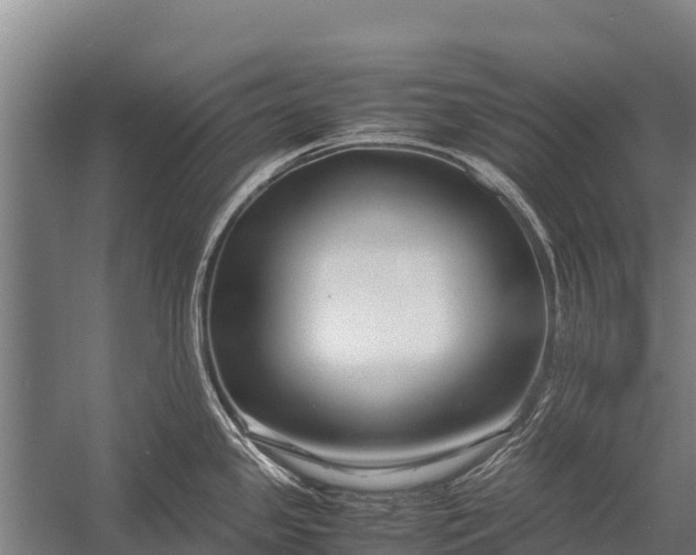 X0000053011341200507221303