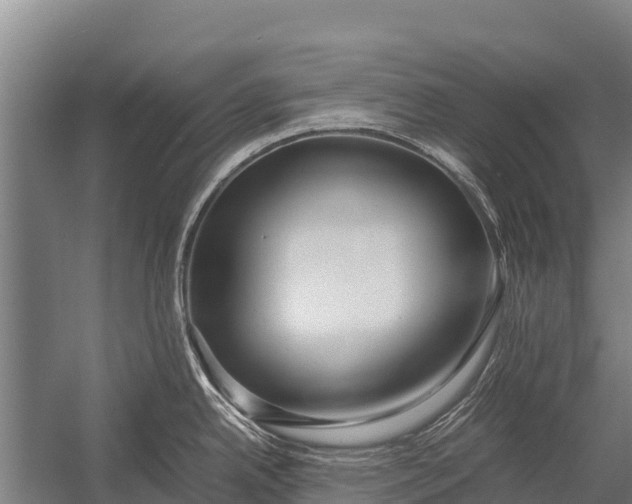 X0000053011342200507221303