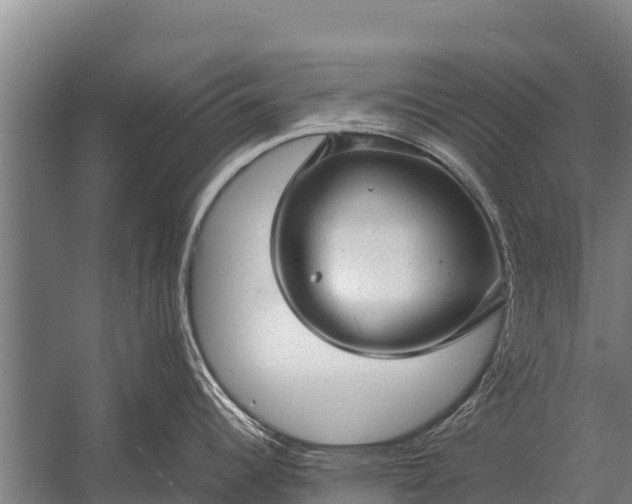 X0000053011344200507221303