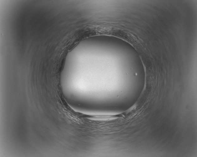 X0000053011345200507221302