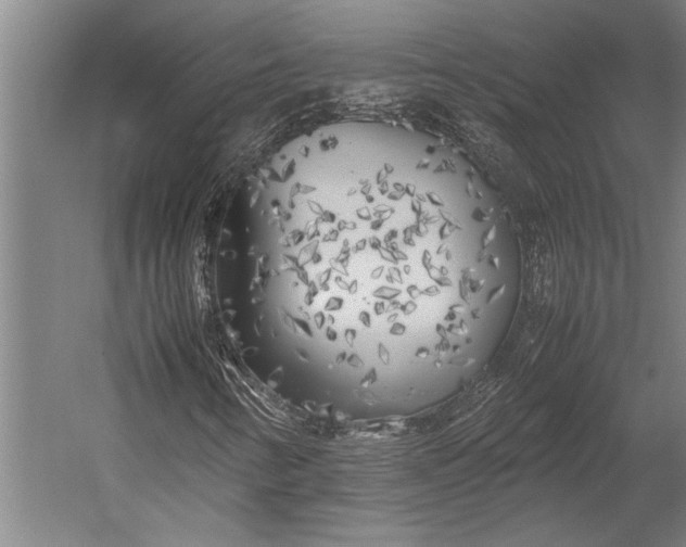 X0000053011346200507221302