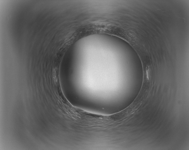 X0000053011347200507221302