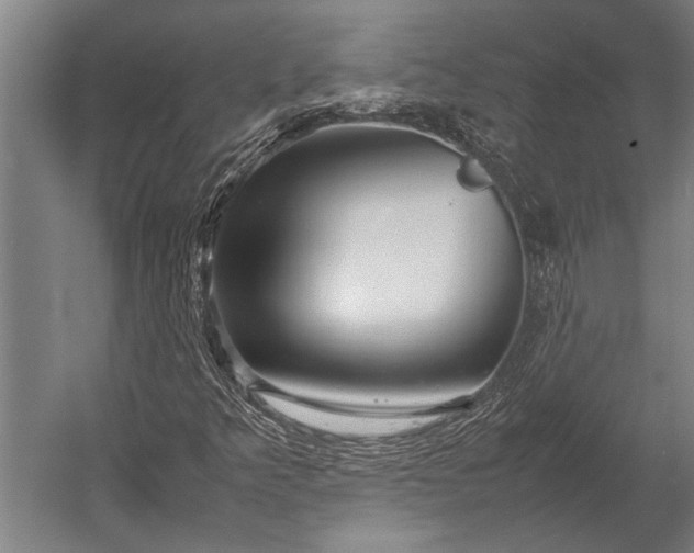 X0000053011349200507221302