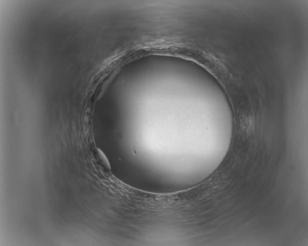 X0000053011350200507221302