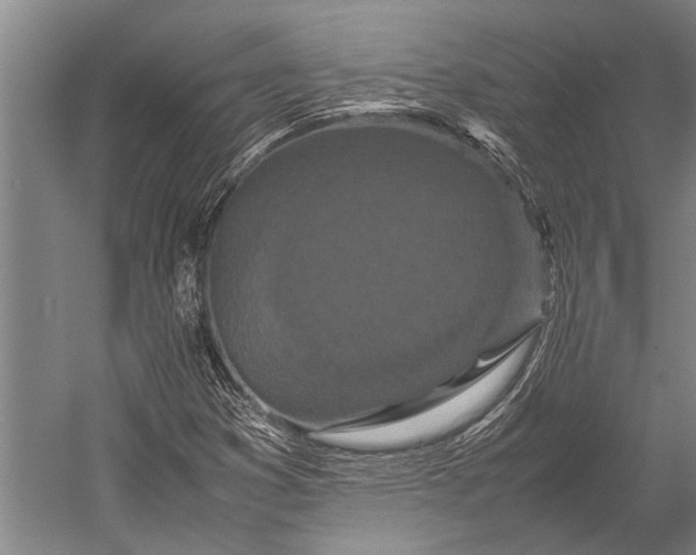 X0000053011353200507221302