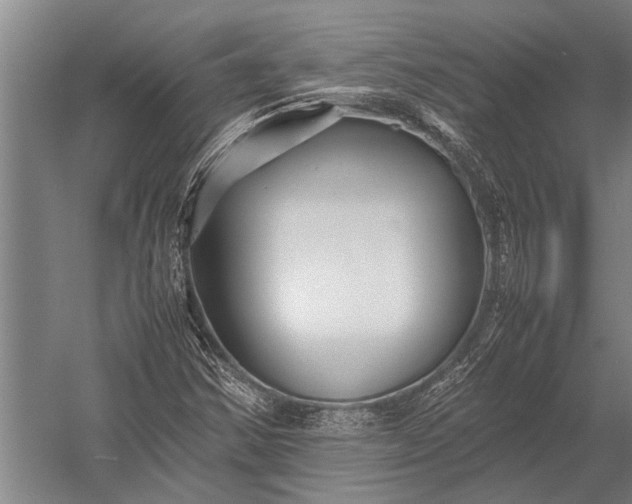 X0000053011354200507221302