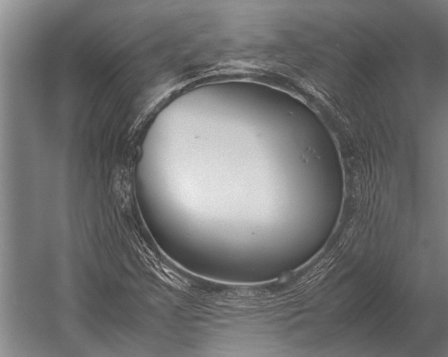 X0000053011355200507221302