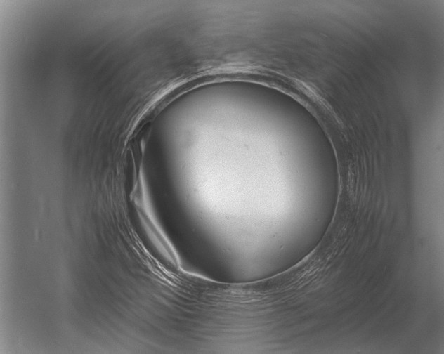 X0000053011356200507221302