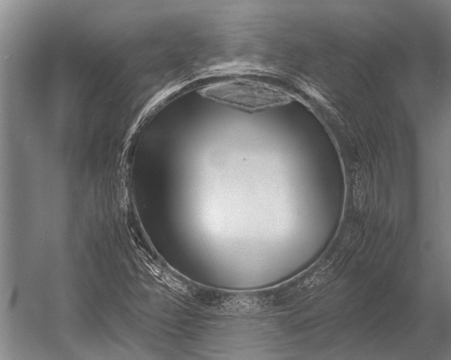 X0000053011358200507221302