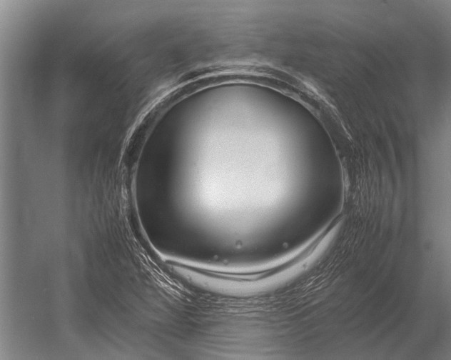 X0000053011360200507221302