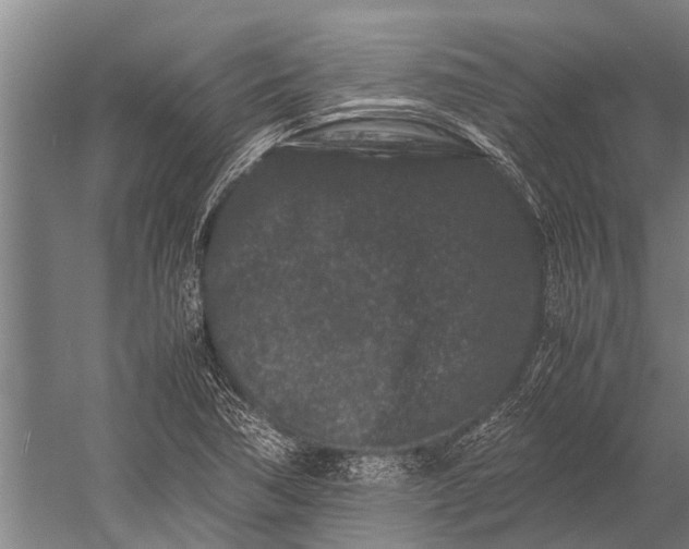 X0000053011362200507221302