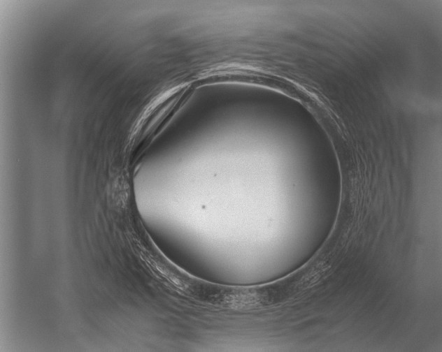 X0000053011363200507221302