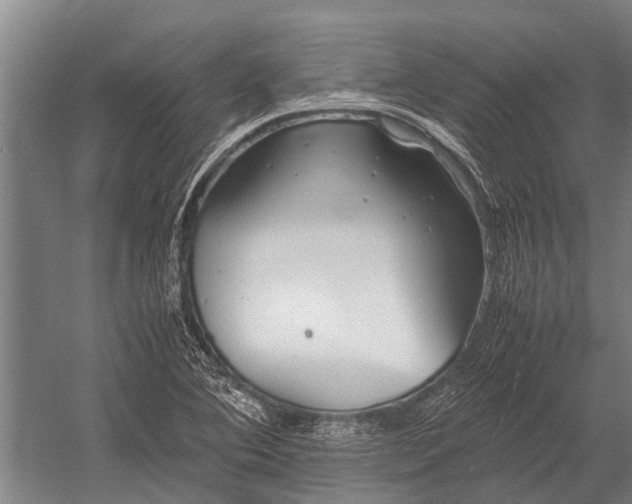 X0000053011364200507221302