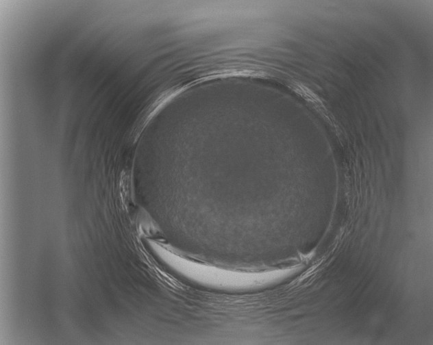 X0000053011369200507221302