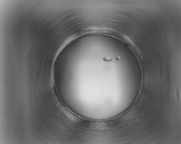 X0000053011370200507221302