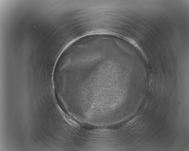 X0000053011372200507221302